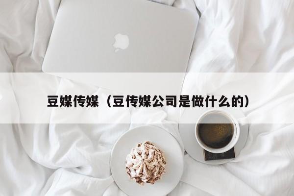 豆媒传媒(豆传媒公司是做什么的)
