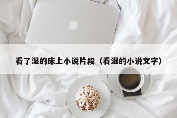 看了湿的床上小说片段(看湿的小说文字)